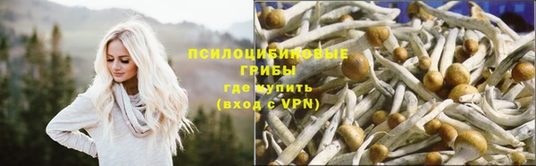 альфа пвп Богородицк