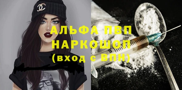молекула духа Богородск