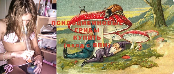 альфа пвп Богородицк