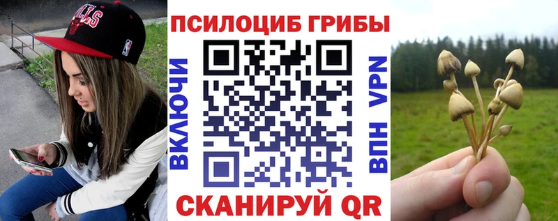 KRAKEN маркетплейс Мурино Псилоцибиновые грибы мицелий