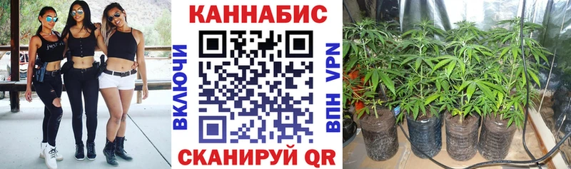 Бошки марихуана THC 21%  купить наркотики цена  Мурино 
